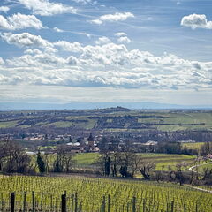 23-03-13 12-09-53 4847